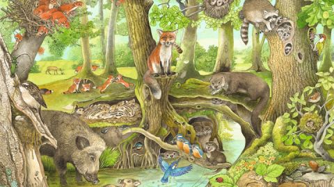 Christine Henkel - Illustrationen Wald