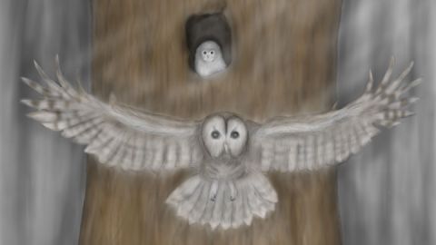 Ferienaktionstag - tierische Vorurteile