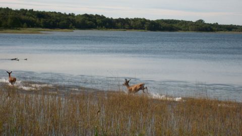 Wasser prägte an der Seenplatte das Leben zu Wasser und an Land.