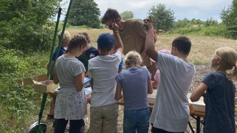 Kleine Umweltdetektive untersuchen Wasserproben