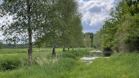 Überfluteter Wegeverlauf