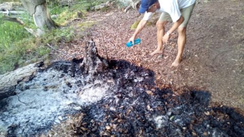 Vor zwei Jahren konnten aufmerksame Touristen zusammen mit einem Ranger in der Nähe des Jugendwaldheims Schlimmeres verhindern
