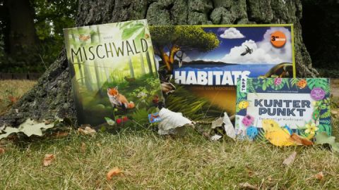 Spieleabend im Januar im Müritzeum