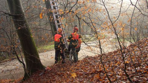 Verkehrssicherung im Müritz-Nationalpark