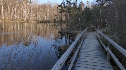 Wienpietschseen bei Waren (Müritz)