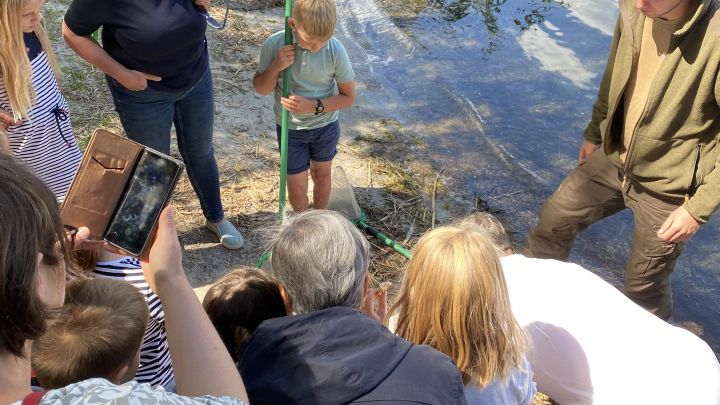 Viel zu entdecken gibt es mit dem bloßen Auge und unter dem Mikroskop