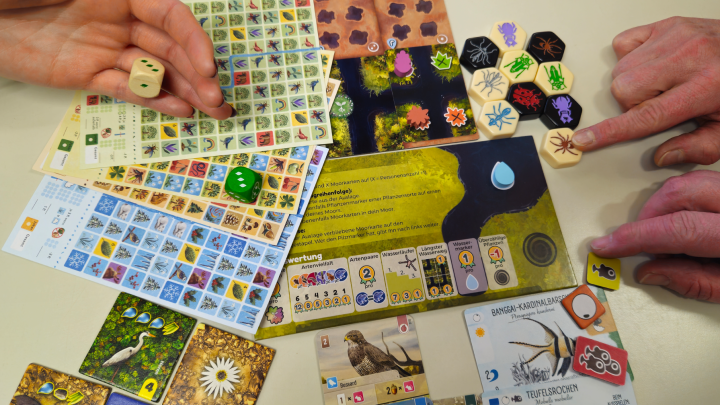 Spieleabend_Müritzeum