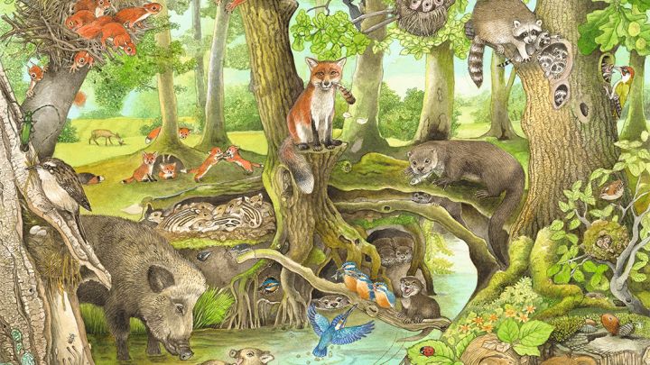 Christine Henkel - Illustrationen Wald