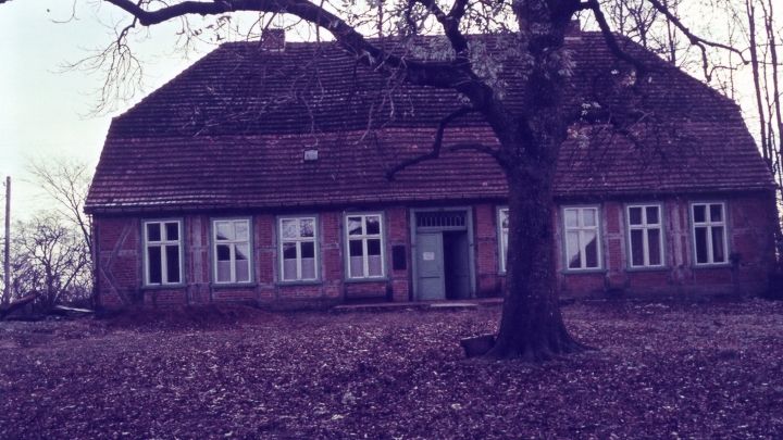 img019