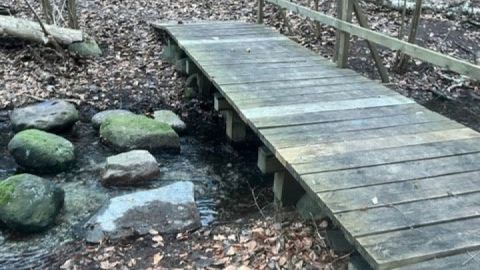 Die Trittsteine wurden bereits verlegt, jetzt wird die Brücke zurück gebaut