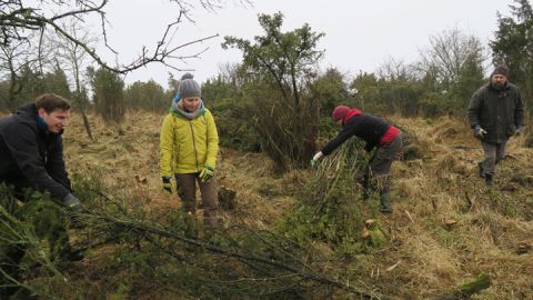 Helfer beim Arbeitseinsatz in der Wacholderheide