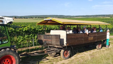 Weingut Schloss Rattey