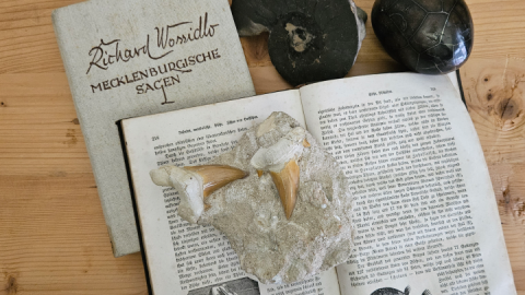 Steine-Geschichten_FAT-Mueritzeum_VD