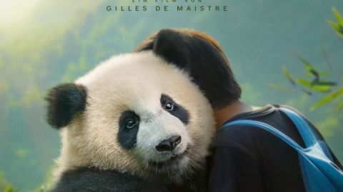 moon-der-panda