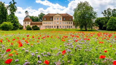 Schloss Kummerow - KunstOffen