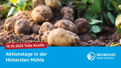 neuw-konzern_externe-komm_tierheim_aktionstage-23-tolle-knolle