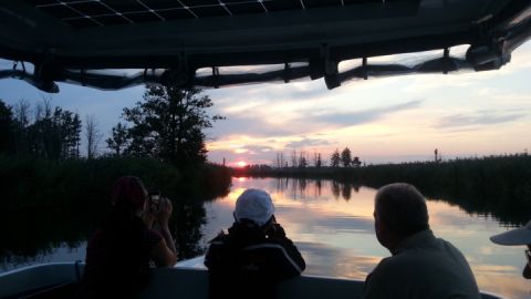 Abendliche Naturführung im Solarboot