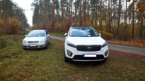 Falschparker im Müritz-Nationalpark