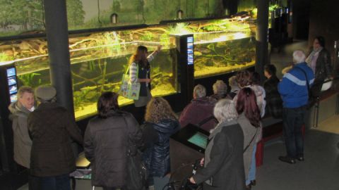 Führung in Aquarienlandschaft