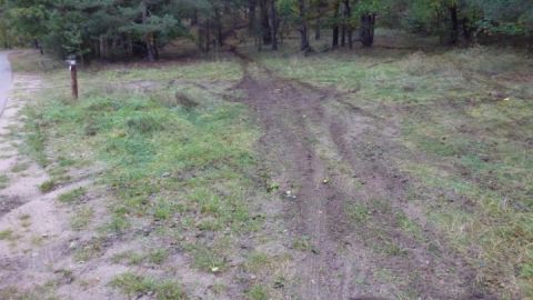 Motocrosser im Müritz-Nationalpark zerstören Waldboden