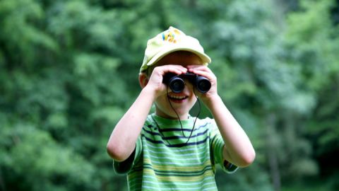 Mit dem Fernglas im Müritz-Nationalpark