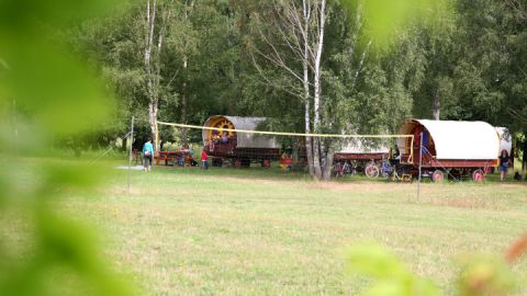 NLP-Partner Planwagen Köster