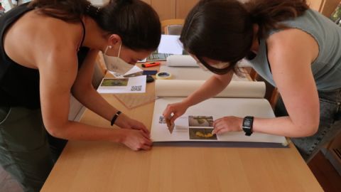 Alicia Riepe und Viktoria Maurer bereiten die diesjährige Schaufenster-Ausstellung für die Tourist- und Nationalparkinformation in Neustrelitz vor