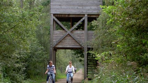 Radfahrer auf dem Weg zwischen Schwarzenhof und Boek