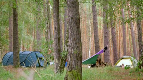 Wildcamper im Müritz-Nationalpark