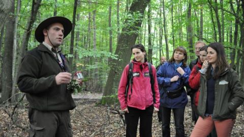 Ranger Sebastian Krage kennt die Serrahner Wälder wie seine Westentasche