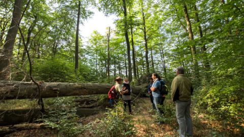 Ranger Claus Weber lenkt den Blick der Besucher auf die Details