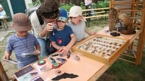 Für kleine und große Fledermaus-Fans gibt es viel zu entdecken.