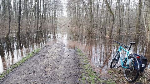 überfluteter Müritz-Rundweg zwischen Sembzin und Sietow