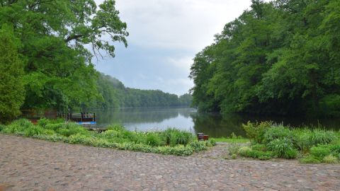 Grünower See - Müritz-Nationalpark