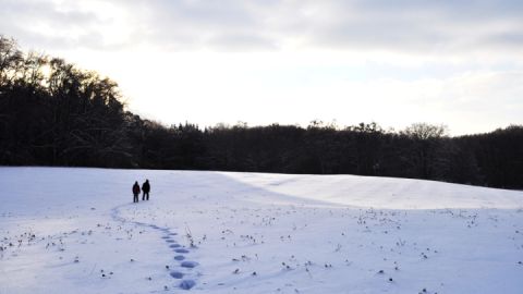 Bei einer Wanderung durch den Müritz-Nationalpark