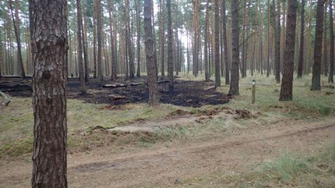 Waldbrand bei Blankenförde