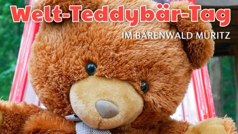 Teddy-Tag Bärenwald