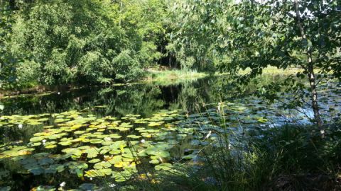 Wienpietschseen 