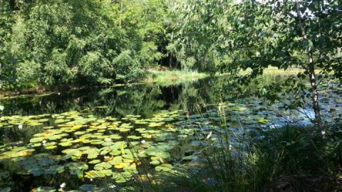 Wienpietschseen 