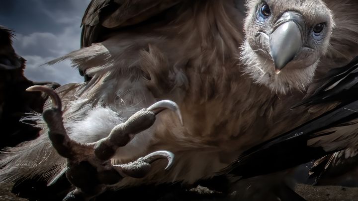 Gewinnerfoto Pölking Award_Glanzlichter2024