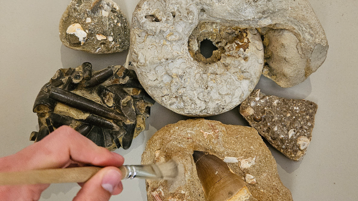 Geologe-in-Arbeit_FAT-Mueritzeum_VD